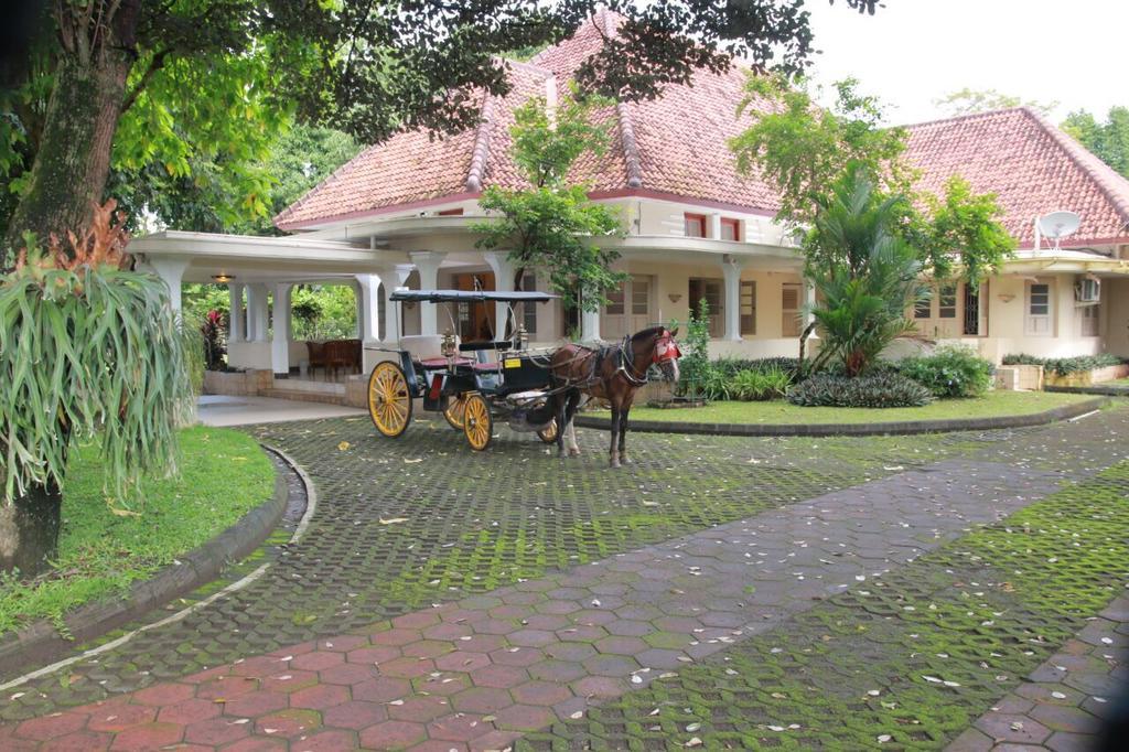 Omah Kertonegoro Hotel Yogyakarta Exterior photo